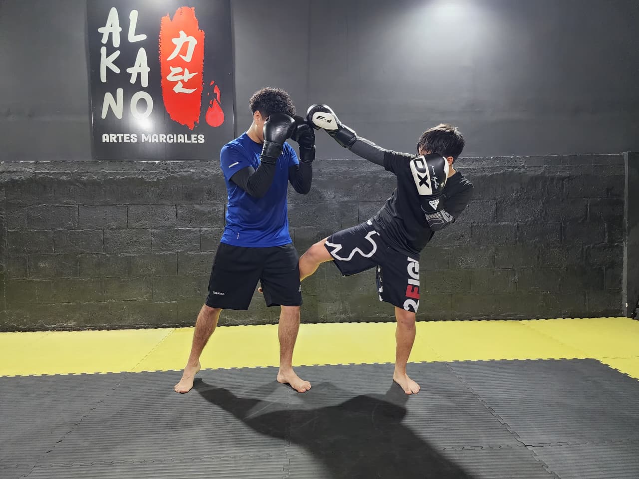 Kickboxing en Alkano